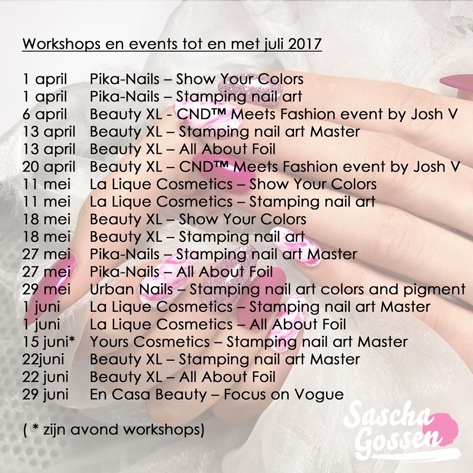 Sascha workshop planning